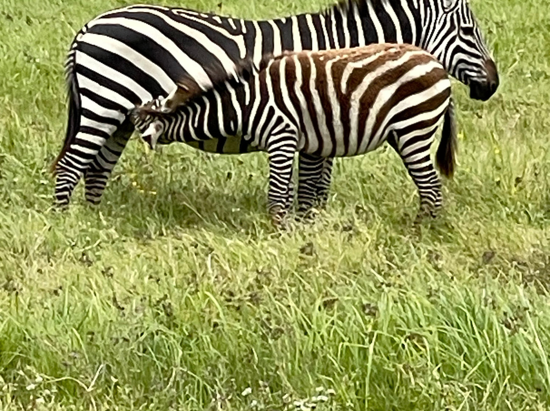 Warrior Trails-阿鲁沙必去景点