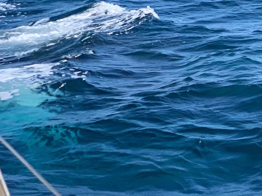 Aria Cruises-克利夫兰必去景点