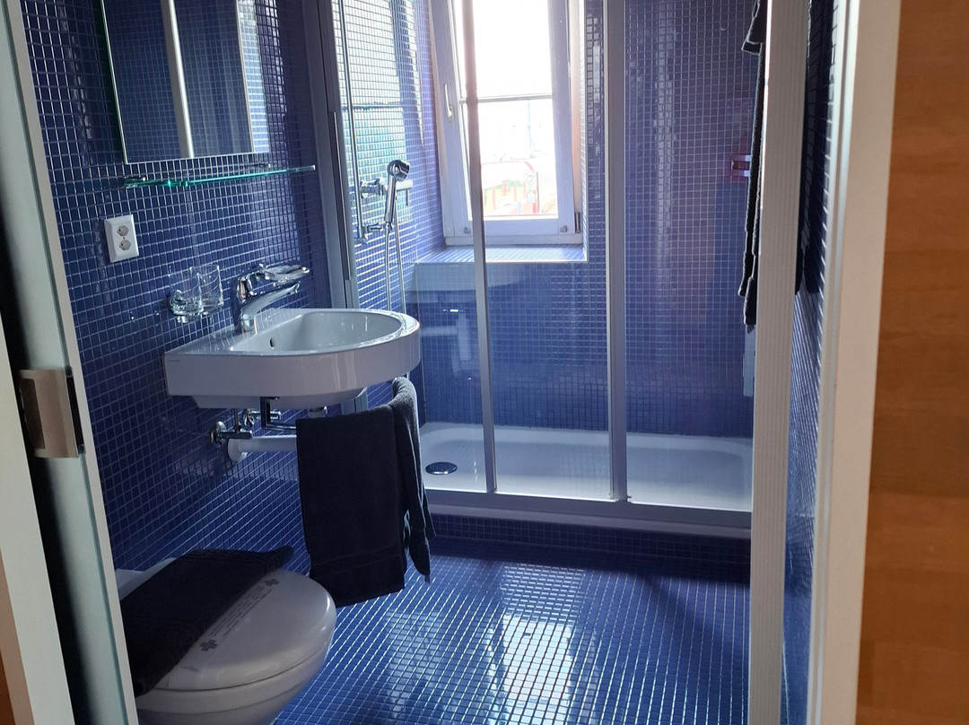 Albergo Alp Gruem主图