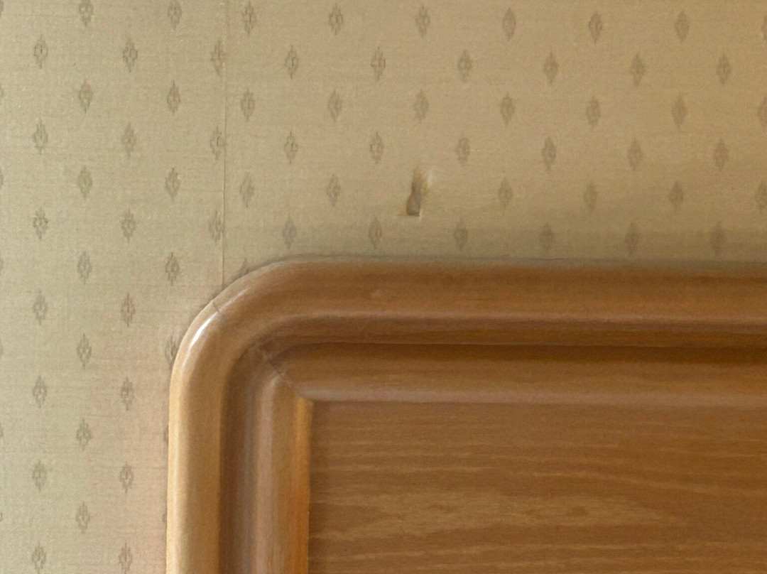 Rodeway Inn Fallsview主图