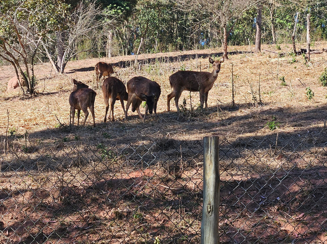 Bioparque Serra Negra-塞拉内格拉必去景点