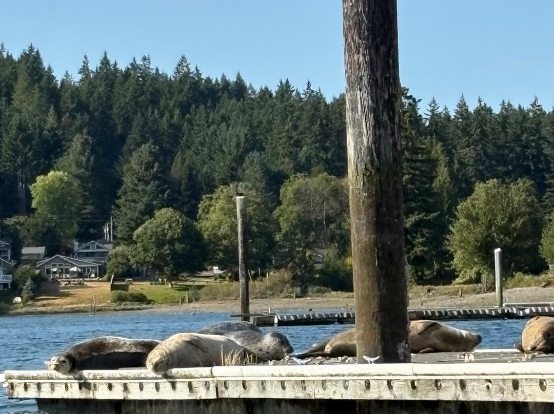 Gig Harbor Gondola-吉格港必去景点