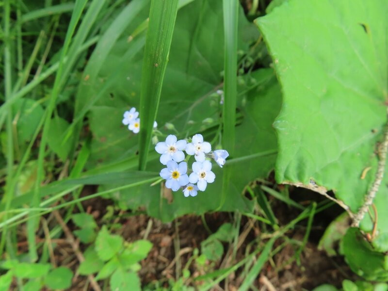 Alta Via Dell'orso-Colle Santa Lucia必去景点