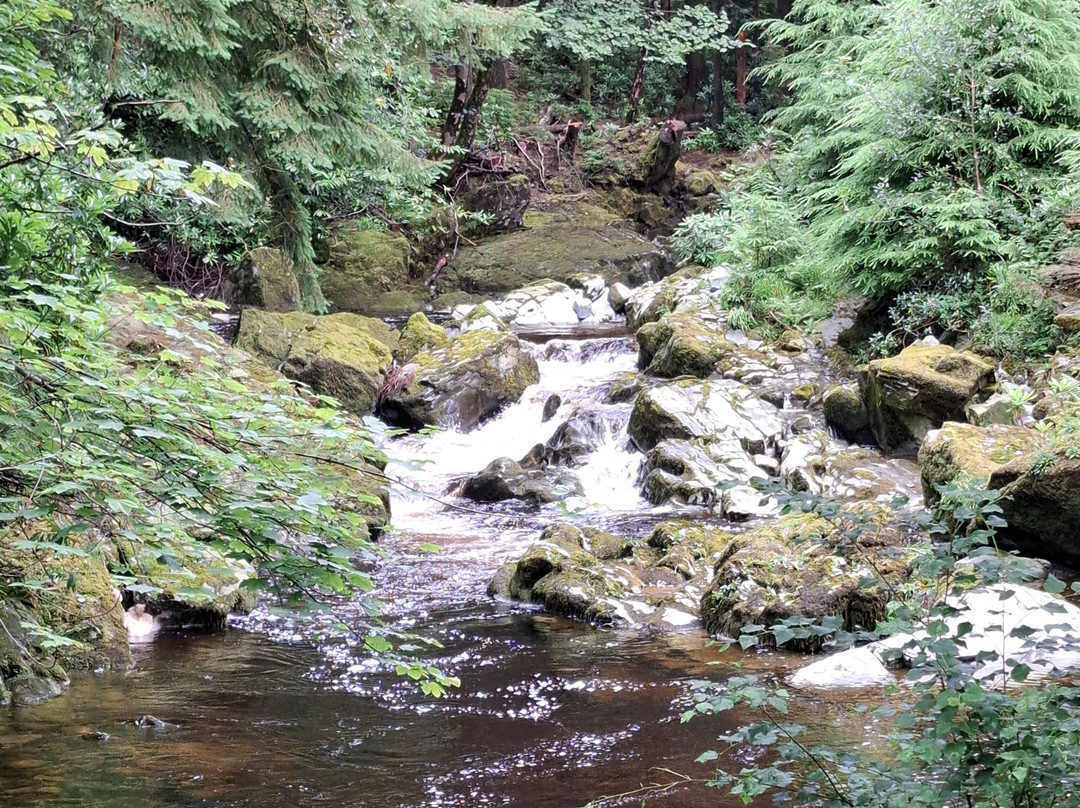 Tollymore Forest Park-纽卡斯尔必去景点