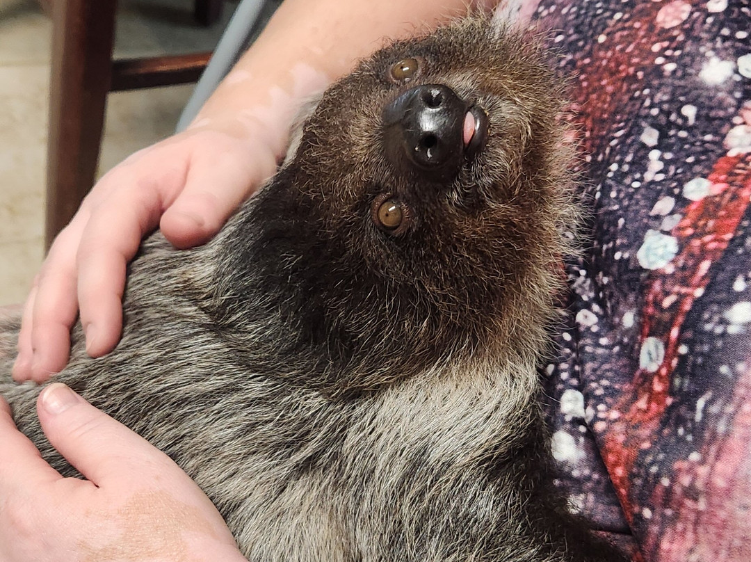 Ocoee Riverside Farm-Benton必去景点