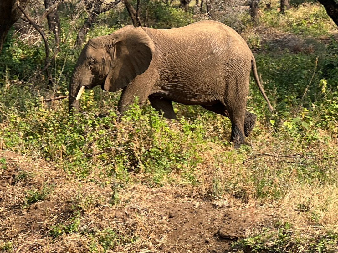 EXG Safaris LLC-California City必去景点