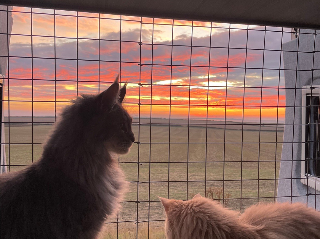 Hartsholme Country Park-林肯必去景点