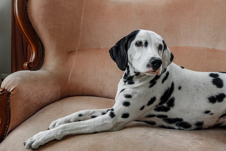 Bristol Hotel-浴室