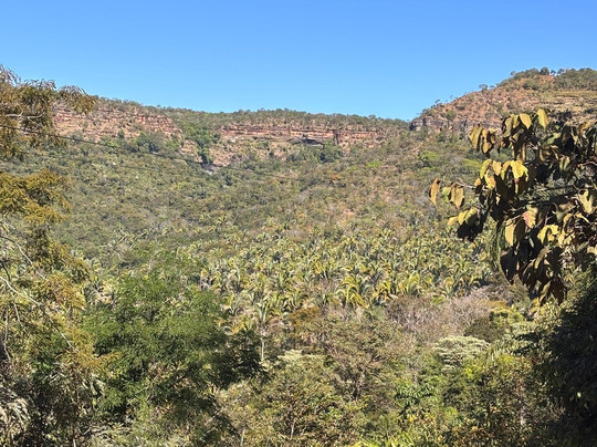 Tirolesa Vôo Do Pontal-Taquarussu必去景点