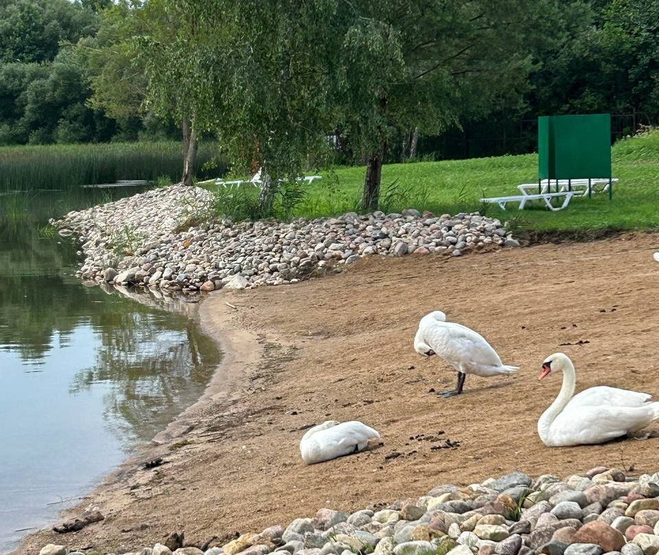 Sanatory Primorskiy主图