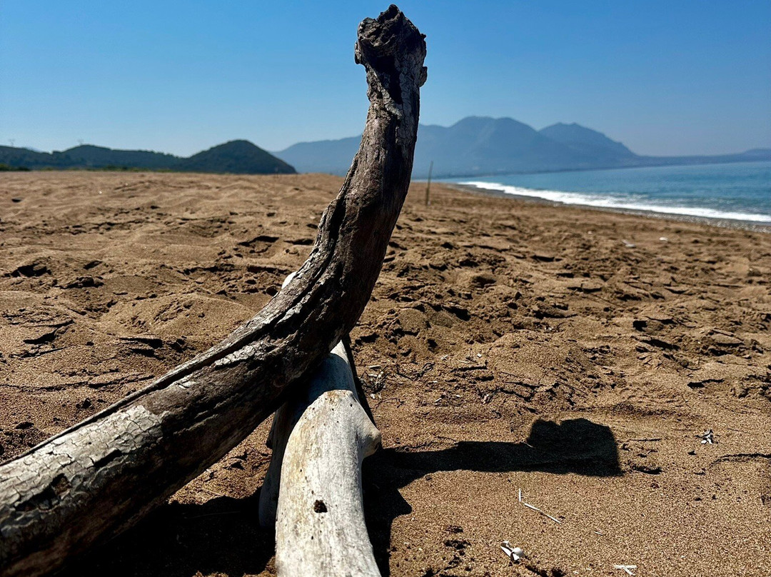 纳图拉俱乐部酒店主图