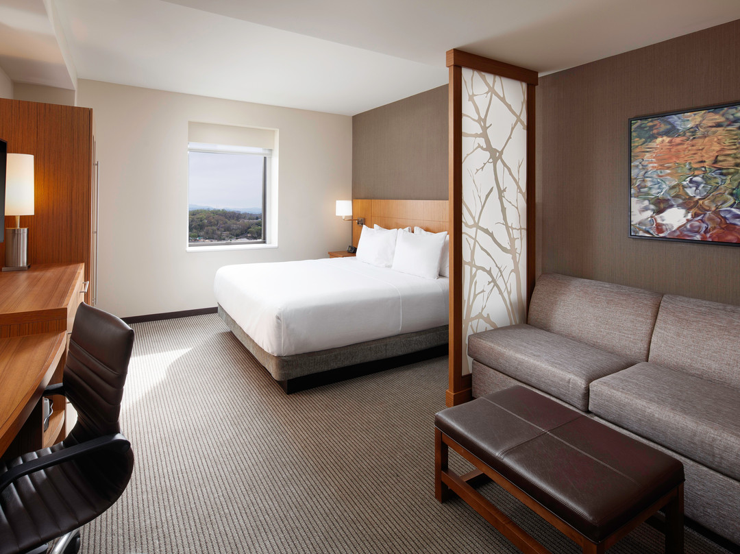 Hyatt Place Knoxville/Downtown主图