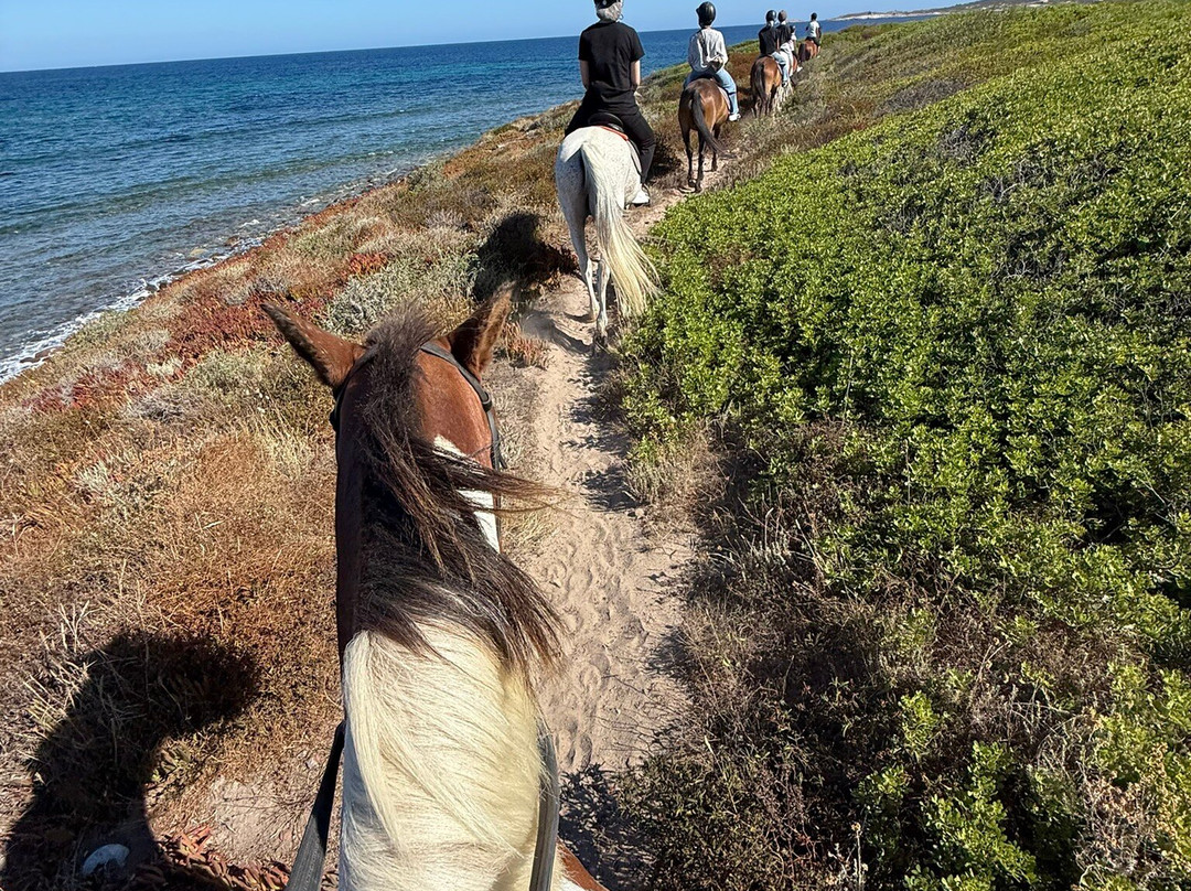 CENTRE ÉQUESTRE DE BALAGNE-Lumio必去景点