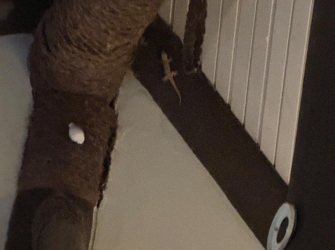 亚萨瓦岛度假村主图