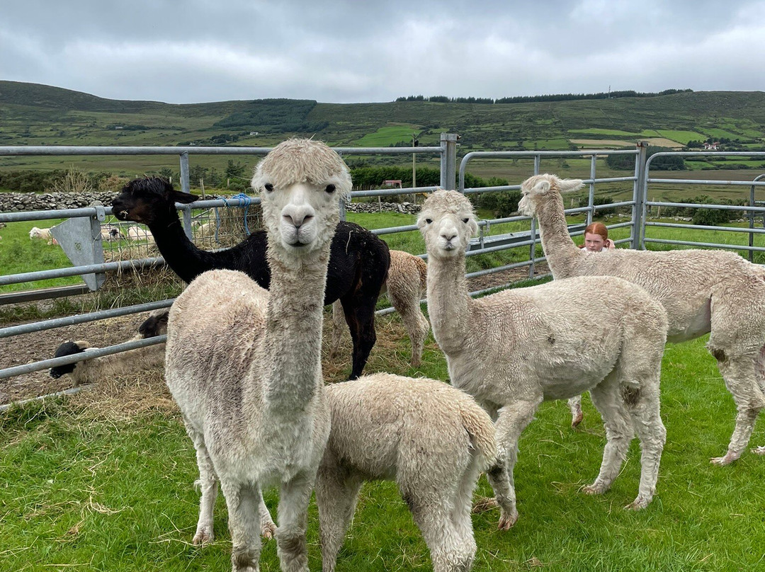 Hidden Hills Waterville-Waterville必去景点