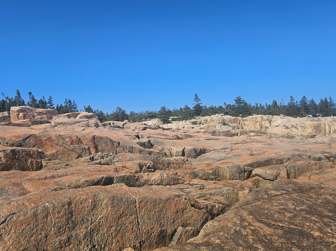 Battle of Aiken Reenactment-艾肯必去景点