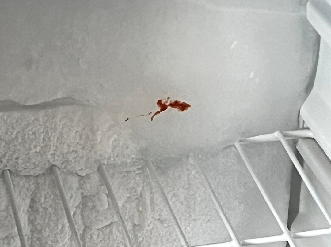 Super 8 by Wyndham Danville主图