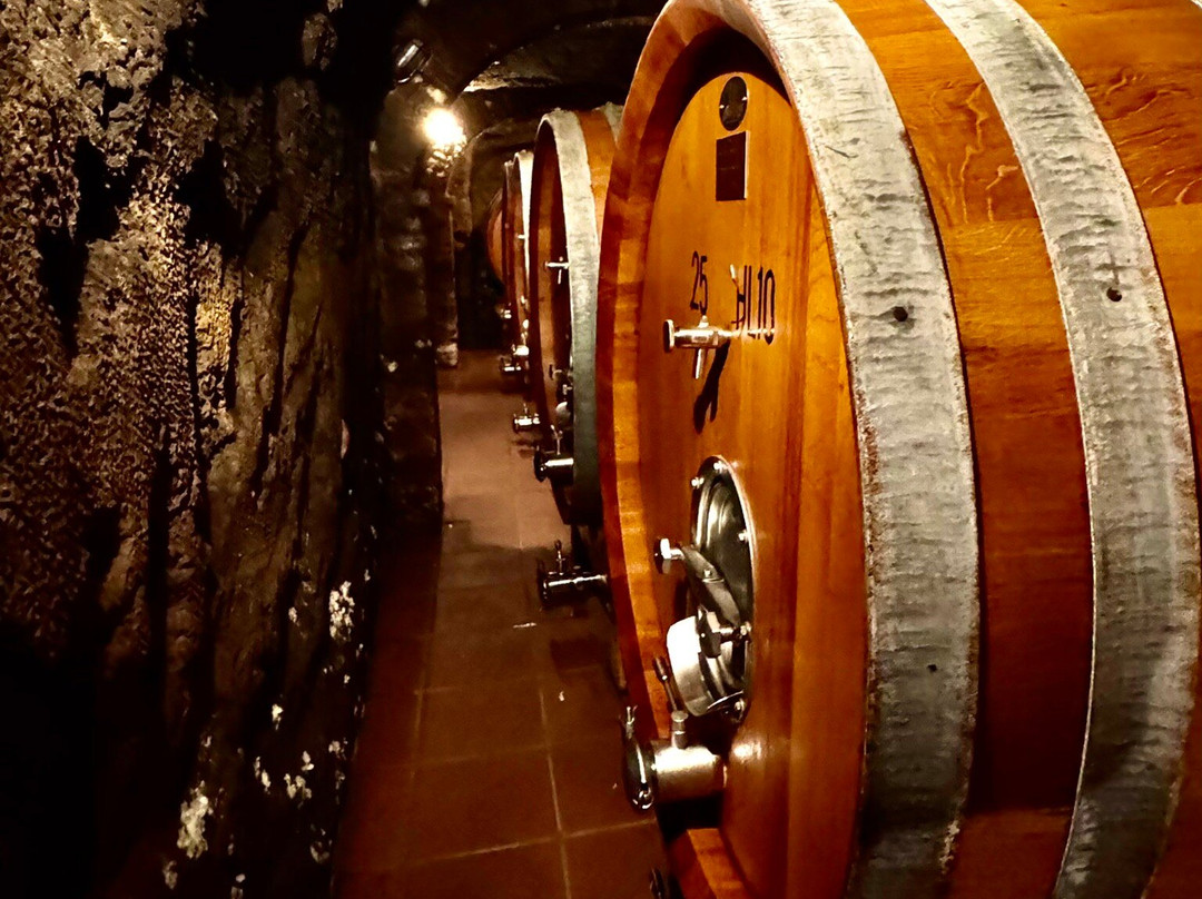 Colle Santa Mustiola-丘西必去景点