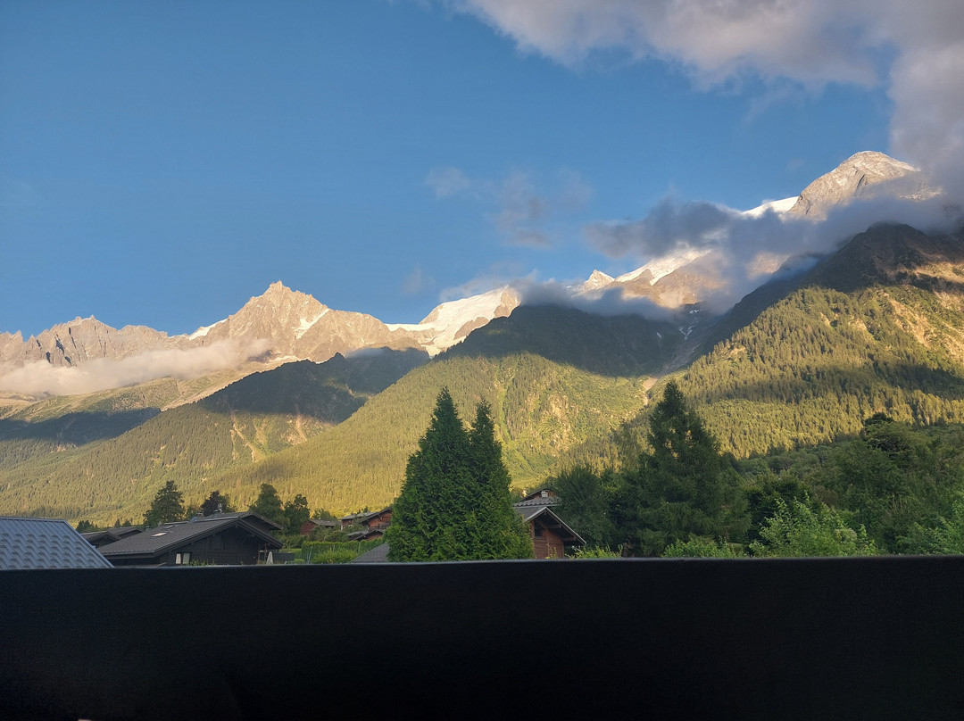 Chalet Hotel du Bois主图