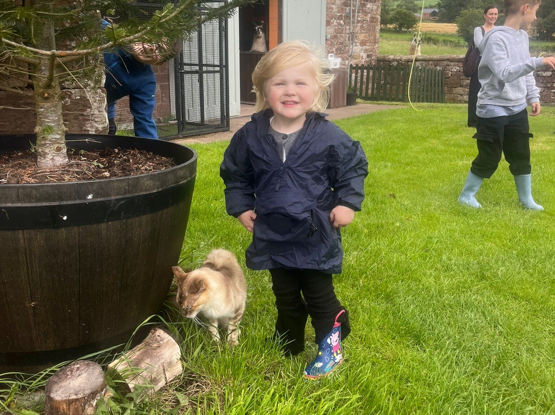 Lakeland Llama Treks-Melmerby必去景点