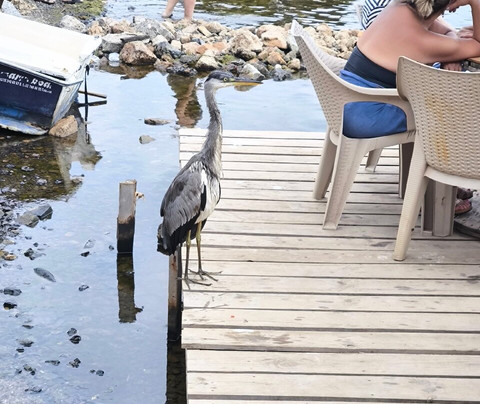 Heybeliada Island-Princes' Islands必去景点