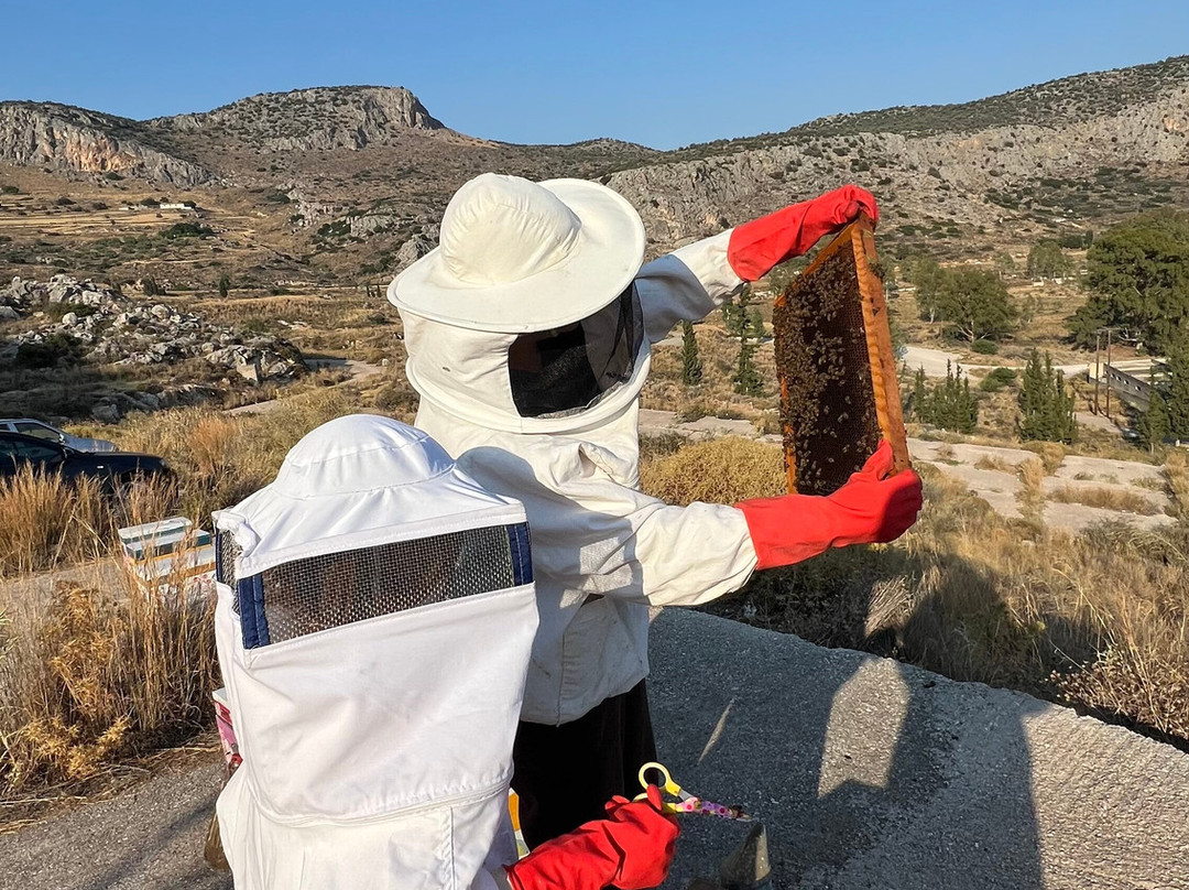 So! Bee-纳夫普利翁必去景点