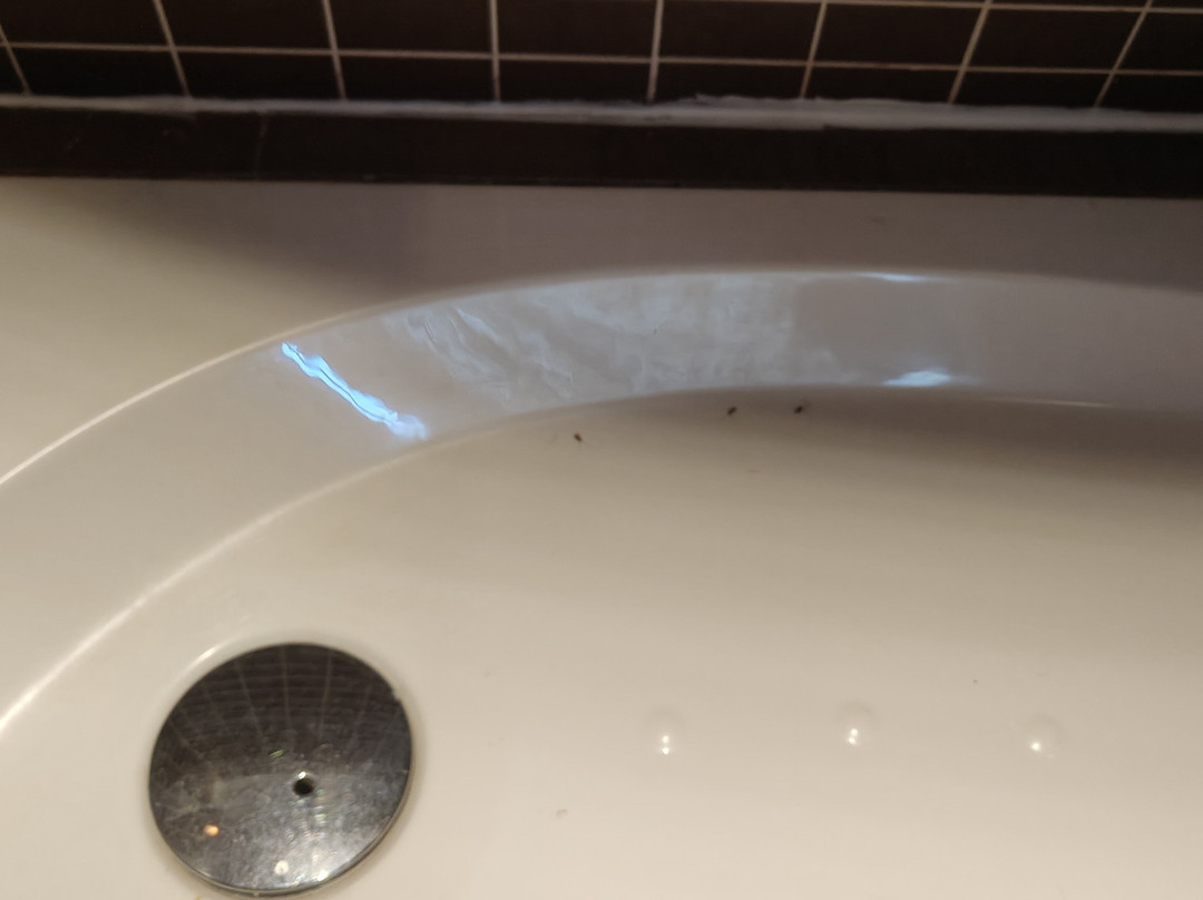 Hotel La Brasa主图