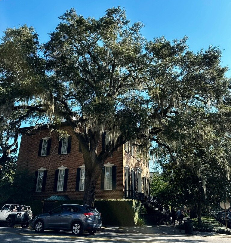Lafayette Square-萨凡纳必去景点
