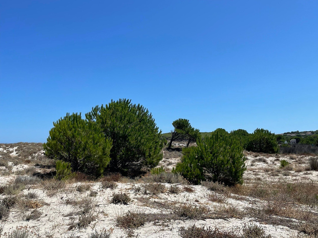Spiaggia Sa Capannizza-Budoni必去景点
