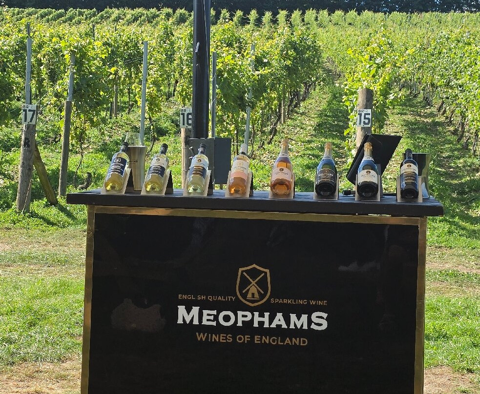 Meopham Valley Vineyard-Meopham必去景点