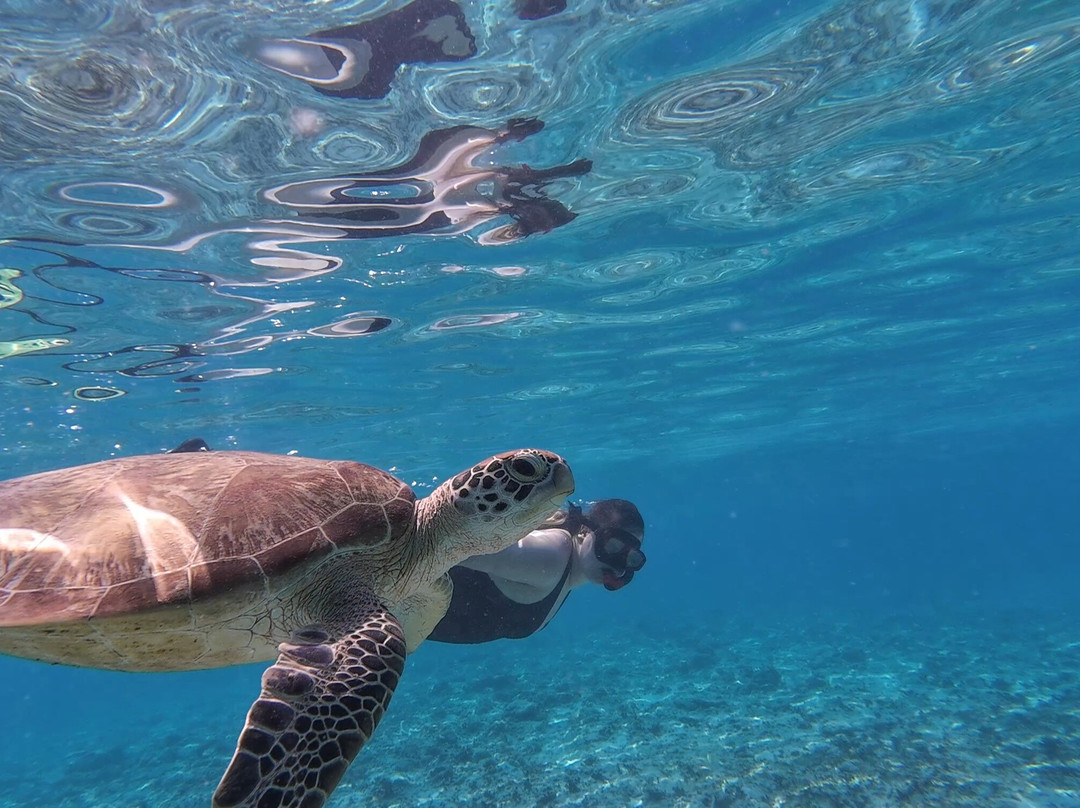 Jhony Gili & Lombok Tours-Gili Air必去景点