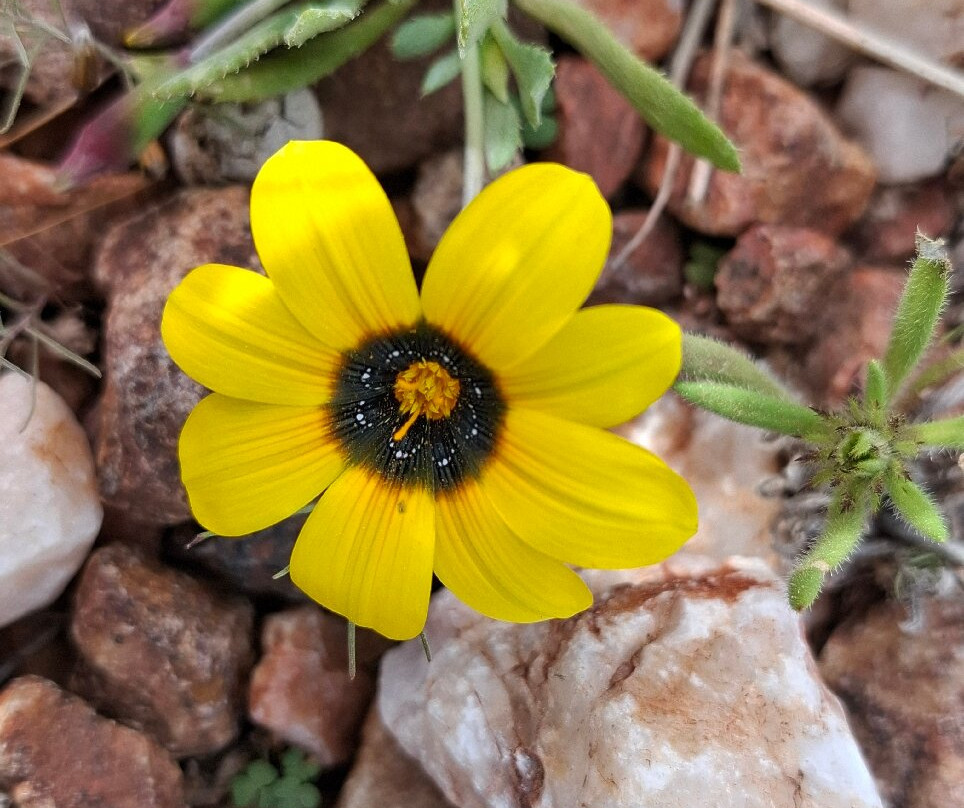 里希特斯韦特国家公园-北开普省必去景点