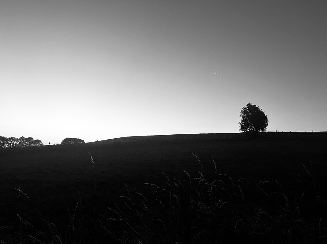 La Ferme de Moulhac主图