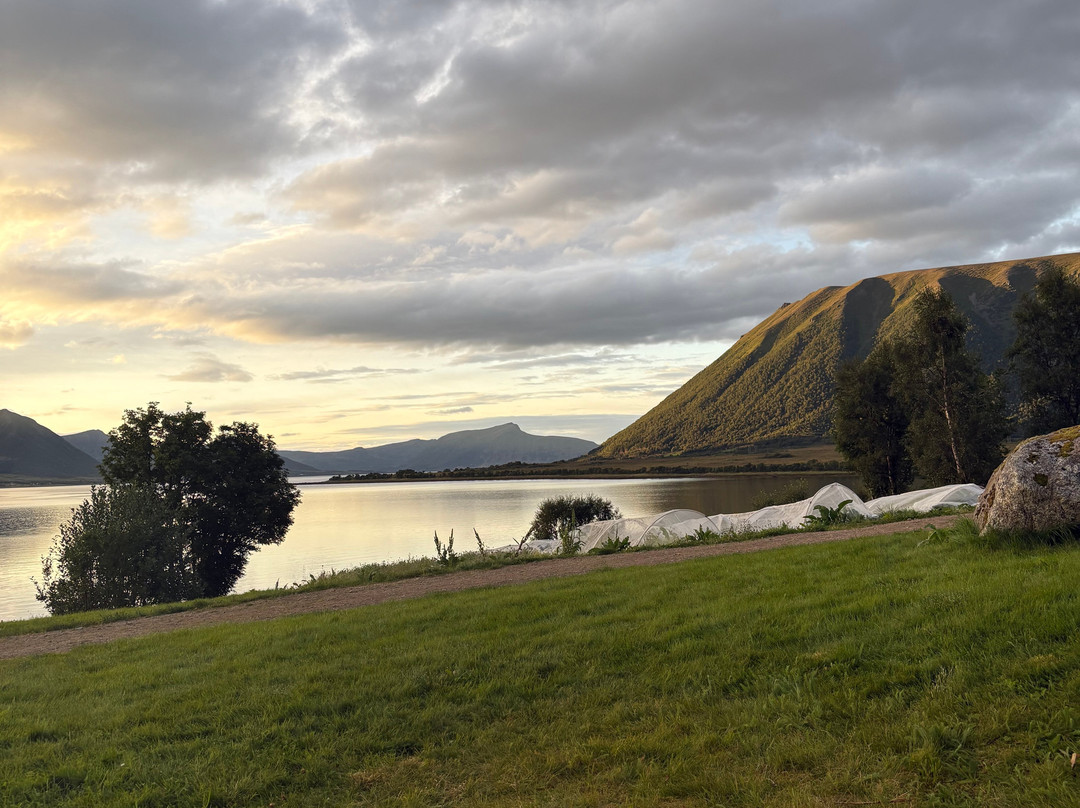 Andøy Friluftssenter主图