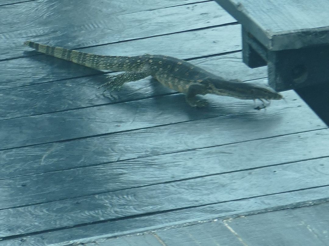 Sandakan Waterfront-山打根必去景点