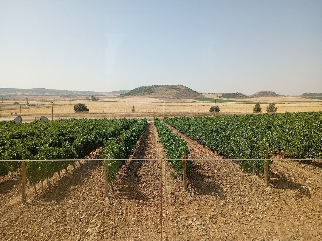 Nexus Valladolid Suites & Hotel主图