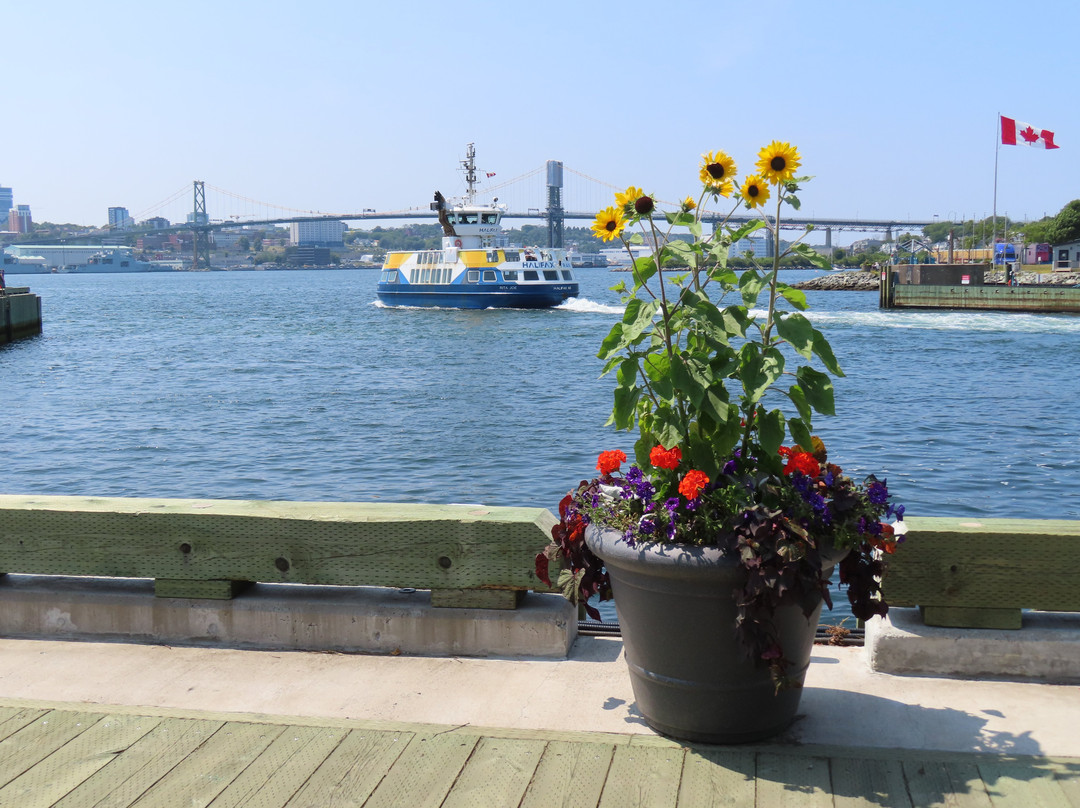 Halifax Harbour Ferry-哈利法克斯必去景点