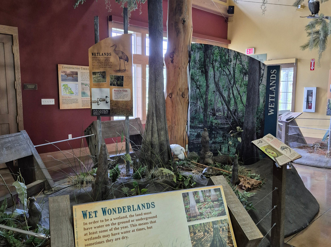 Circle B Bar Reserve-莱克兰必去景点