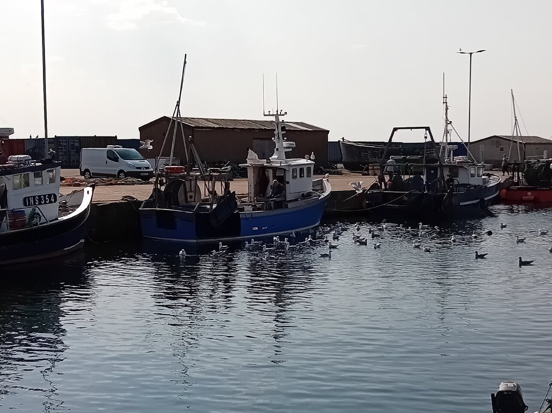 Harbour Inn主图
