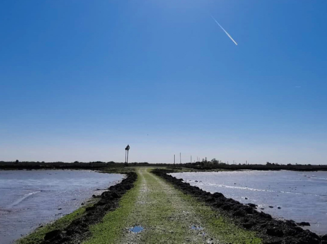 Northey Island-Maldon必去景点