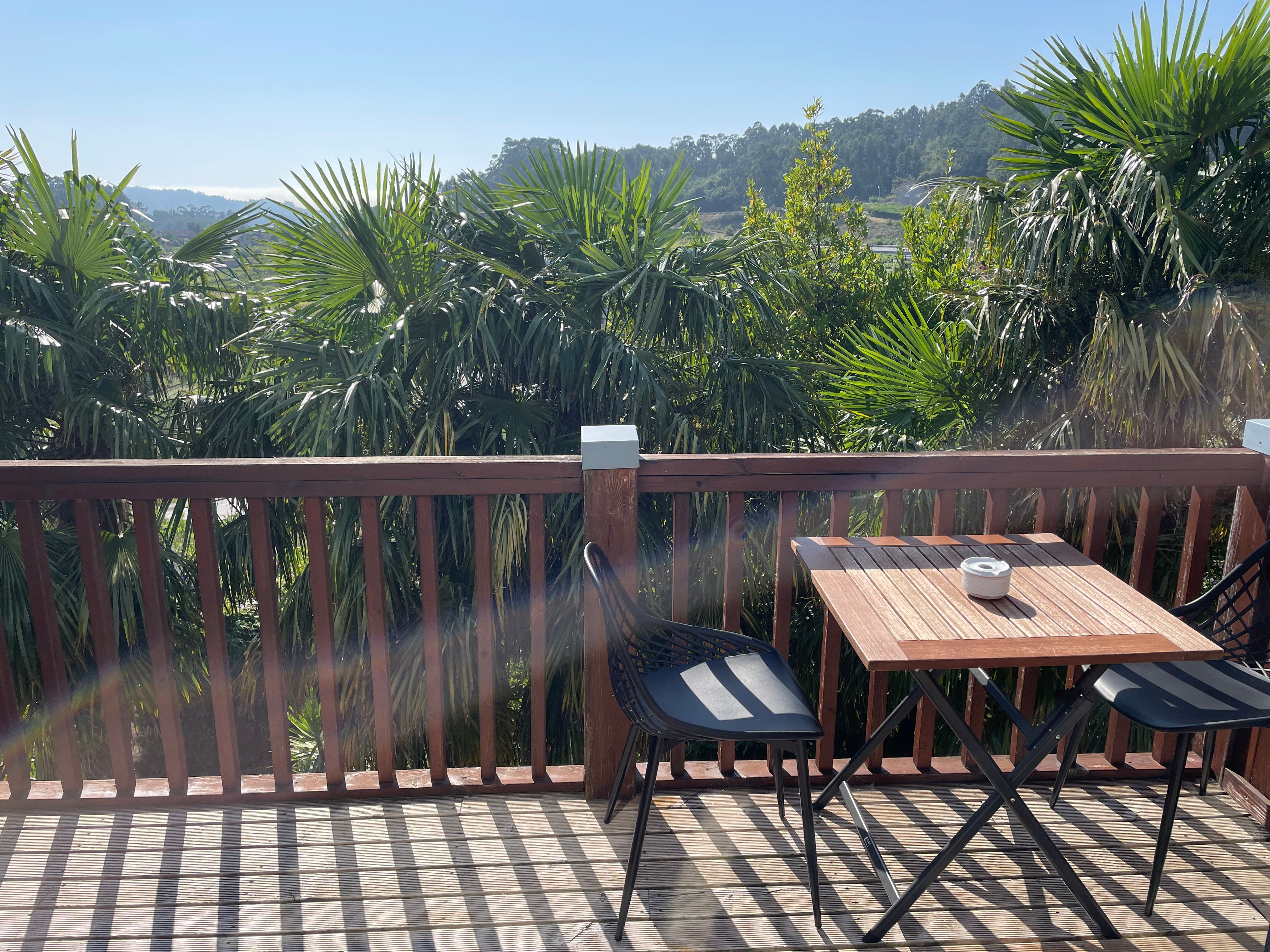 Hotel Quinta de San Amaro-酒店景观