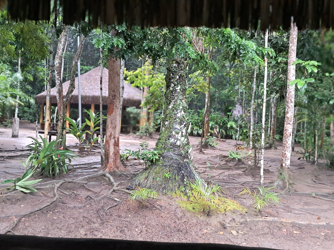 Pataxo Turismo-Porto Seguro必去景点