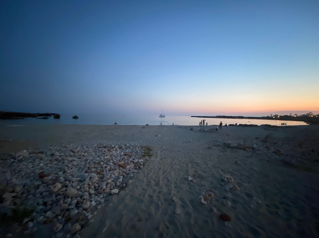 Platja de Son Xoriguer-卡兰博希必去景点