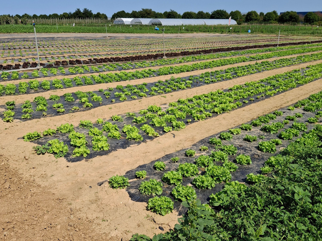La Ferme de Rutel Cueillette-Villenoy必去景点