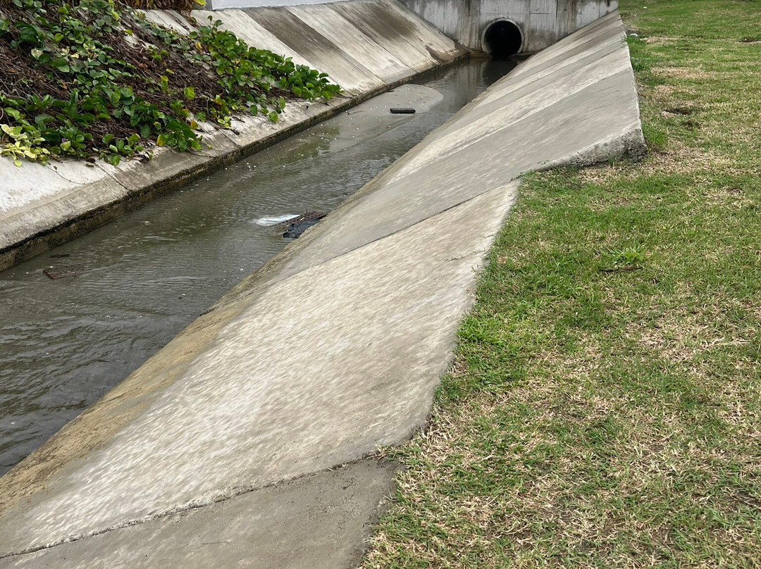 Wailoaloa Beach-纳迪市必去景点