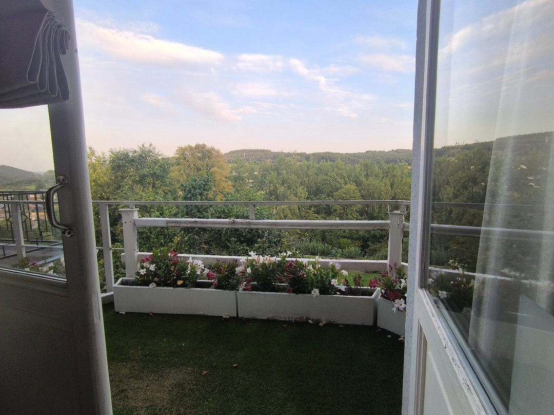 Boutique Hotel Dufays主图