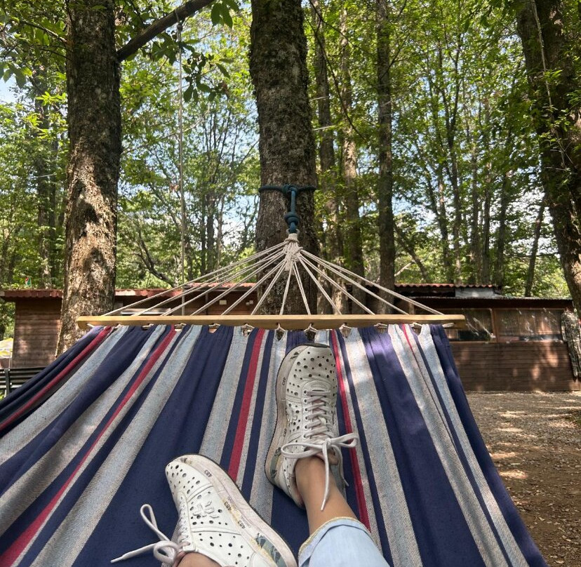 Parco degli Elfi-Marano Principato必去景点