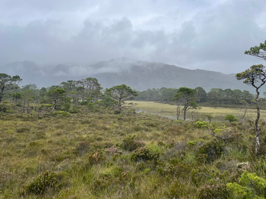 Gairloch Kayak Centre-盖尔洛赫必去景点