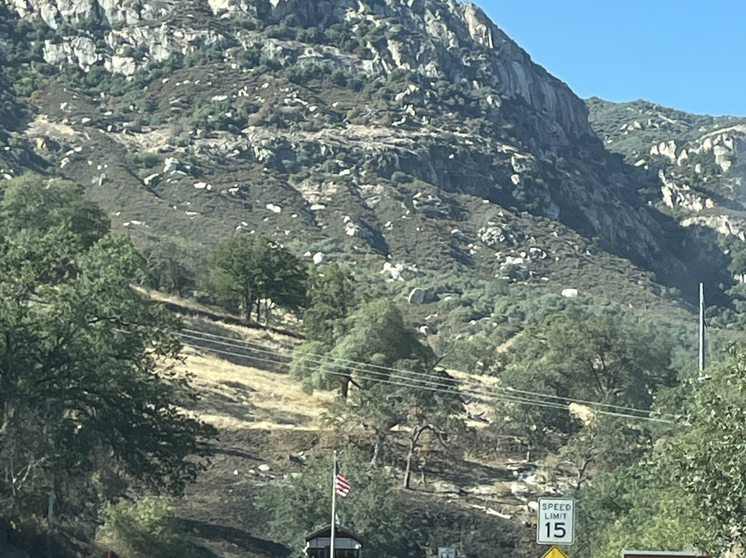 Sequoia National Park-维塞利亚必去景点