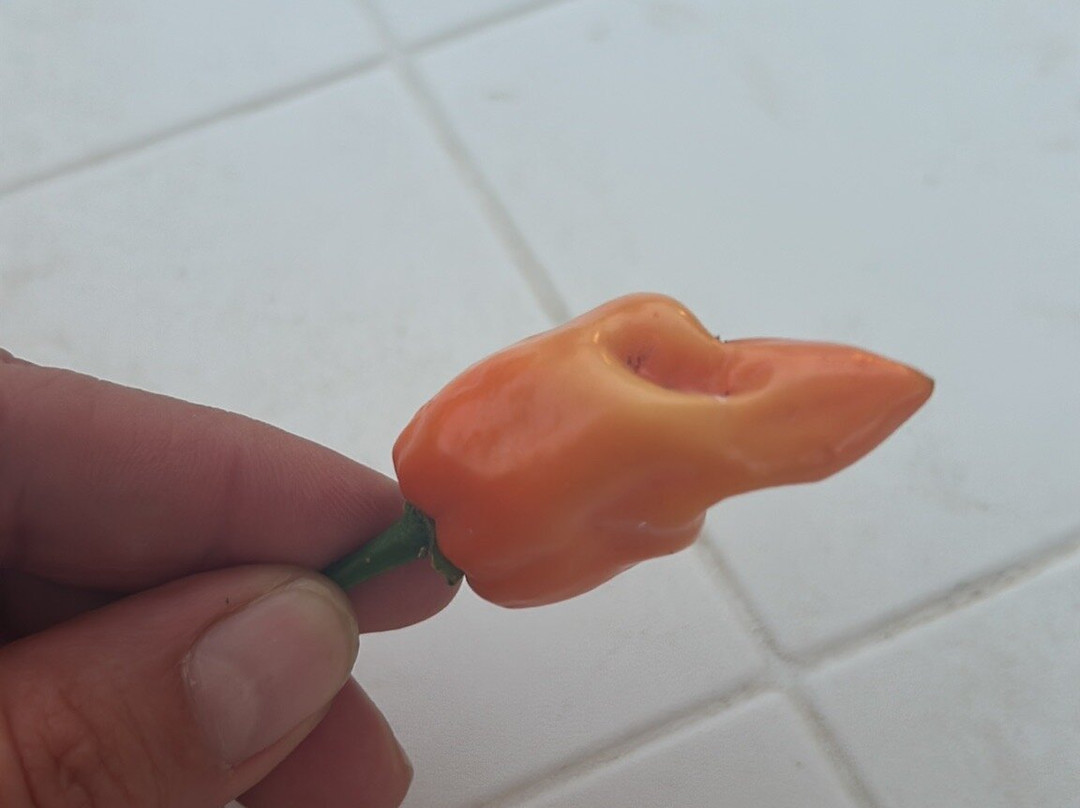 Icontadini-乌真托必去景点